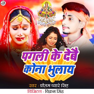 Album Pagli Ke Debai Kona Bhulay from 