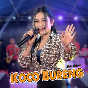 Listen to Koco Bureng (Koplo Version) song with lyrics from Sela Silvina