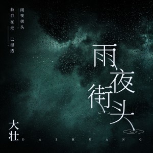 收听大壮的雨夜街头 (完整版)歌词歌曲