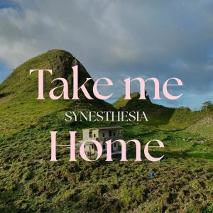 Album Take me home from Synesthesia