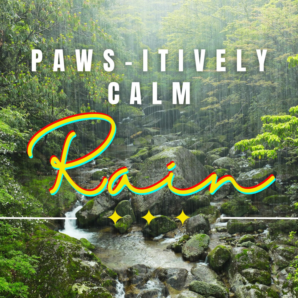 Rainfall Petting Paradise