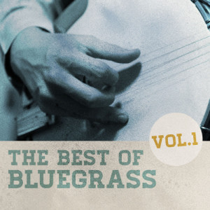 ดาวน์โหลดและฟังเพลง Saturday Night Banjo พร้อมเนื้อเพลงจาก Mason Williams