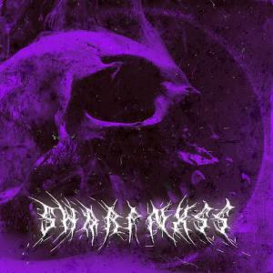 Album SHARPNXSS (Explicit) from dxwg