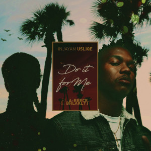Listen to Do It for Me song with lyrics from DJ Sliqe