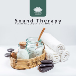 Listen to Positive Attitude song with lyrics from Tranquility Spa Universe