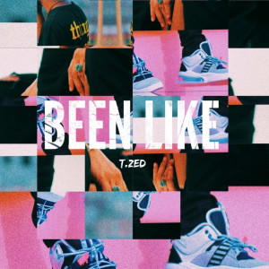 收聽T. Zed的Been Like (Explicit)歌詞歌曲