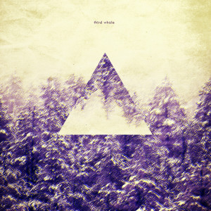 Listen to Take It Out song with lyrics from Third Whale
