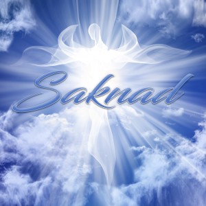 Various Artists的專輯Saknad