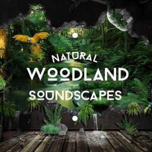 ดาวน์โหลดและฟังเพลง Birdhide พร้อมเนื้อเพลงจาก Natural Sounds