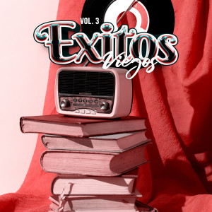 ดาวน์โหลดและฟังเพลง Bailando Gaita พร้อมเนื้อเพลงจาก Pepe Molina