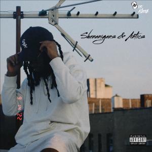Ace Clarke的專輯Shenanigans & Antics (Explicit)
