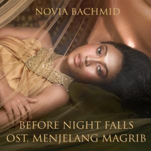 Dengarkan lagu Before Night Falls nyanyian Novia Bachmid dengan lirik