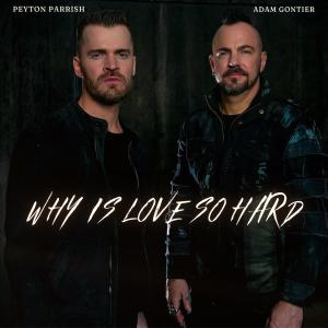 อัลบัม Why Is Love So Hard (feat. Adam Gontier) ศิลปิน Peyton Parrish