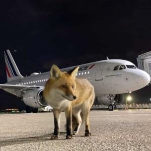 收聽hauntingclaire的tuci (feat. disoc8) (Explicit)歌詞歌曲