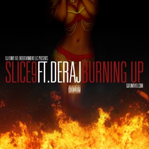 Slice 9的專輯Burning Up (feat. Deraj) - Single (Explicit)
