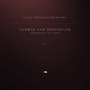 收聽Ludwig van Beethoven的2. Andante con moto歌詞歌曲