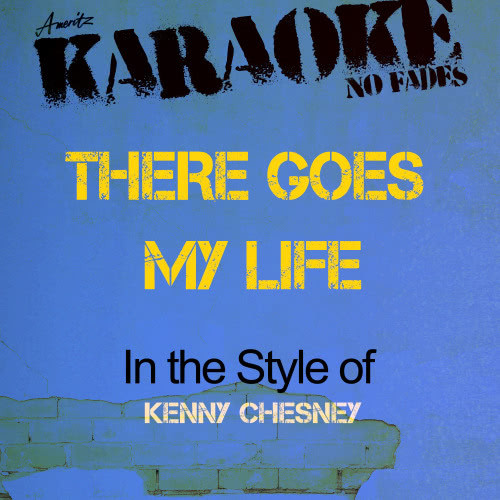 There Goes My Life (In the Style of Kenny Chesney) [Karaoke Version] (Karaoke Version)