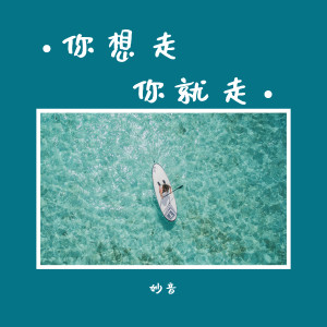 Listen to 你想走你就走 (伴奏) song with lyrics from 妙音