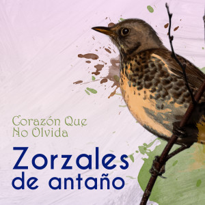 收聽Gonzalo Benítez的El Maicito歌詞歌曲