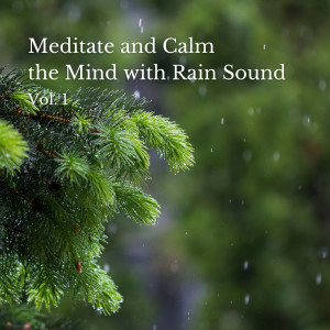 Calming Music Academy的專輯Meditate and Calm the Mind with Rain Sound Vol. 1