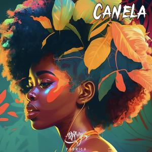 Listen to Color canela song with lyrics from DJ Cary