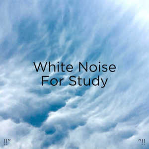 !!" White Noise For Study "!! dari White Noise