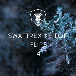 Listen to Play Date (Lofi) (Explicit) (Lofi|Explicit) song with lyrics from Swattrex