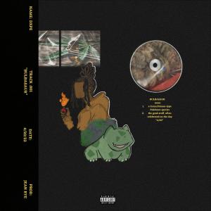 Album BULBASAUR (Explicit) from DXPE