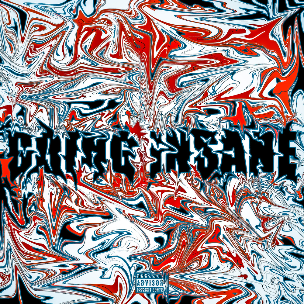 GOING INSANE (Explicit)