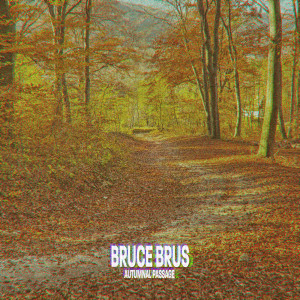 收聽Bruce Brus的Autumnal Passage (Delta Drone)歌詞歌曲