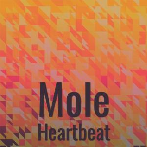 Album Mole Heartbeat from Various Artists