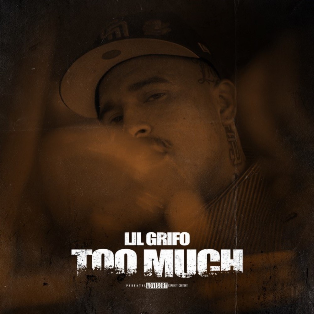 Too Much (Explicit)