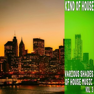 Listen to Avangarde (Disco Kings Mix) song with lyrics from Jackett