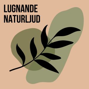 Album Lugnande naturljud from 