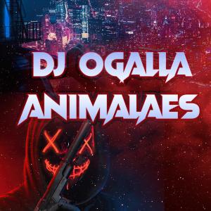 Dj Ogalla的專輯Animalaes (Explicit)