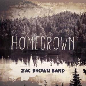ดาวน์โหลดและฟังเพลง Homegrown พร้อมเนื้อเพลงจาก Zac Brown Band