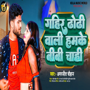 Listen to Gahir Dhori Wali Hamke Bibi Chahi song with lyrics from Amarjeet Chauhan