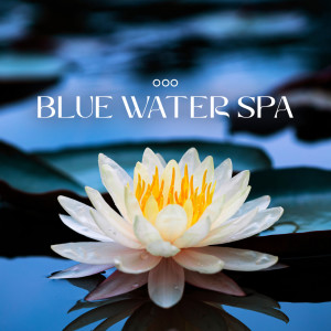 Listen to Foot Massage Spa song with lyrics from Beauty Spa Music Collection