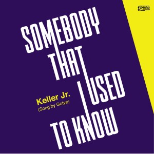 Acoustic Covers的專輯Somebody That I Used to Know