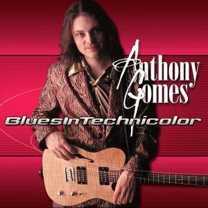 ดาวน์โหลดและฟังเพลง Misery for Company พร้อมเนื้อเพลงจาก Anthony Gomes