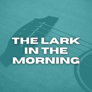 Dengarkan Jig lagu dari Patrick O'Keefe dengan lirik