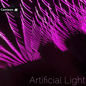Album Artificial Lights from Canteen