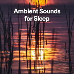 Musica Para Estudiar Academy的专辑Ambient Sounds for Sleep
