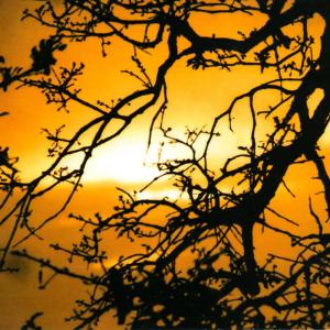 收聽Midsummer的Ink歌詞歌曲