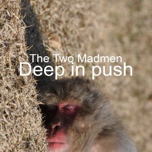 Listen to Deep in Push (Cut Version) song with lyrics from The Two Madmen