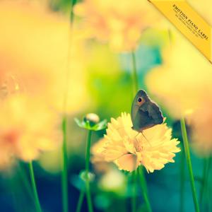 Listen to You and me under the sky song with lyrics from Ryu Ihan
