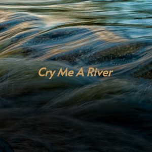 收听Bassey, Shirley的Cry Me a River歌词歌曲