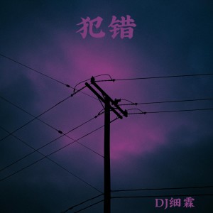 Album 沉默不是代表我的错 from 顾峰