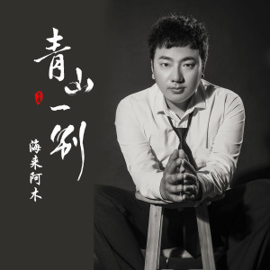 Listen to 青山一别 (DJ沈念版) song with lyrics from 海来阿木