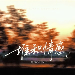 Album 堆积情感 from 亮声open